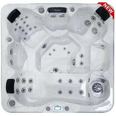 Avalon-X EC-849LX hot tubs for sale in Puebla